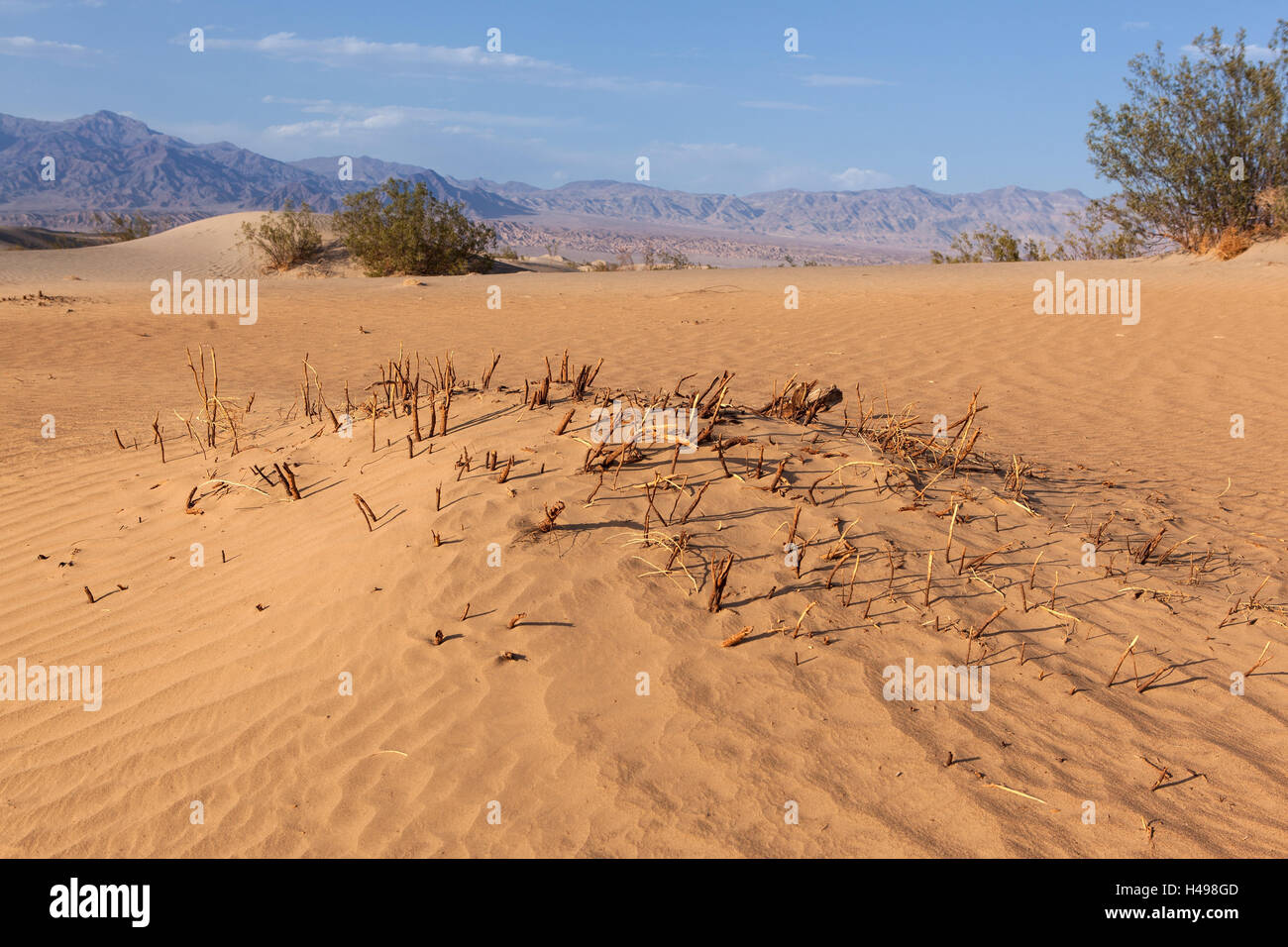 Death valley nationwide park hi-res stock photography and images - Alamy