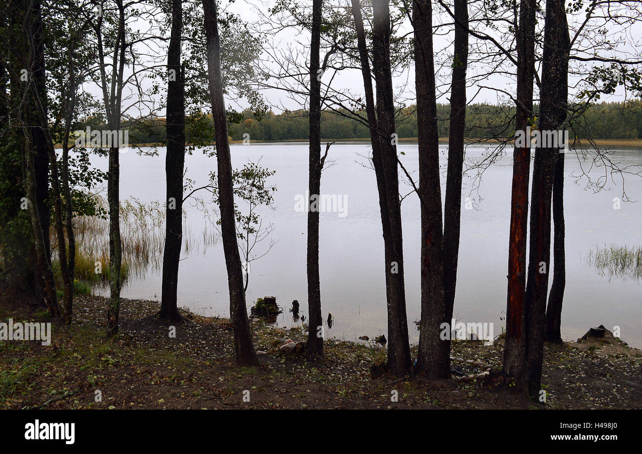 Grey, rainy autumn day at Pobledzie Jezioro (Lake Pobledzie) , Poland, fomerly Pablindszer See/Zollsee, Ostpreussen Stock Photo