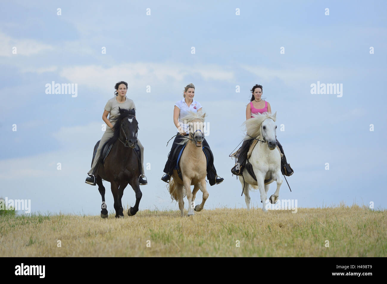 Riders, horses, field, front view, riding, looking at camera Stock