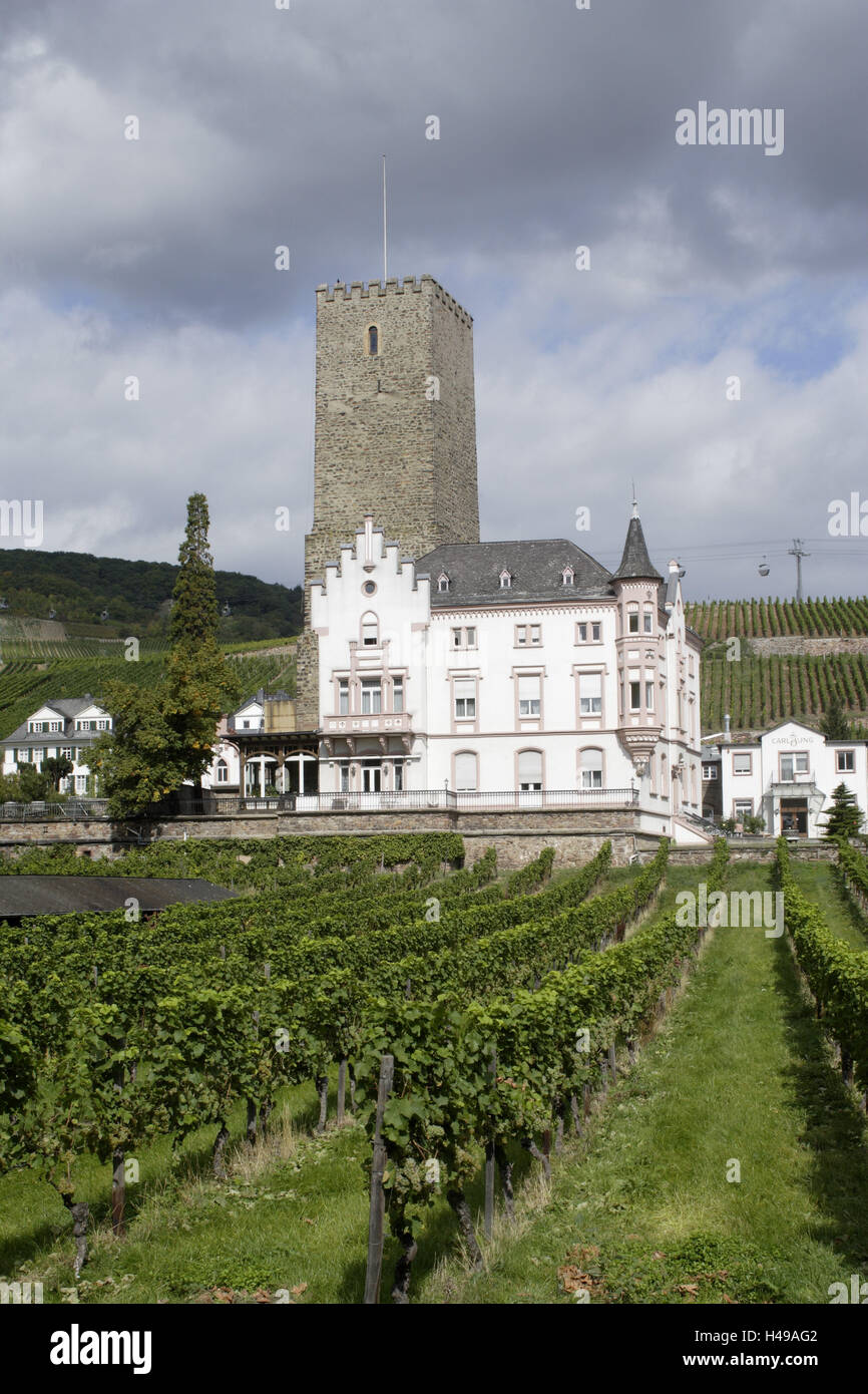 Winery 'Carl Jung', castle Boosen, rough home, Hessen, Germany, Stock Photo