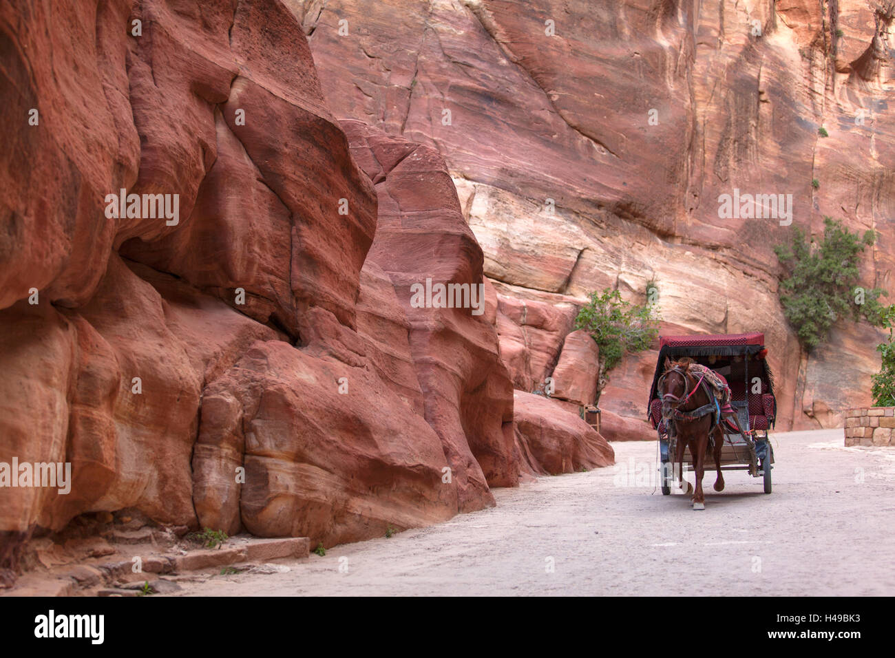 Traditional horse carriage along the Siq canyon in Petra, Jordan. Stock Photo