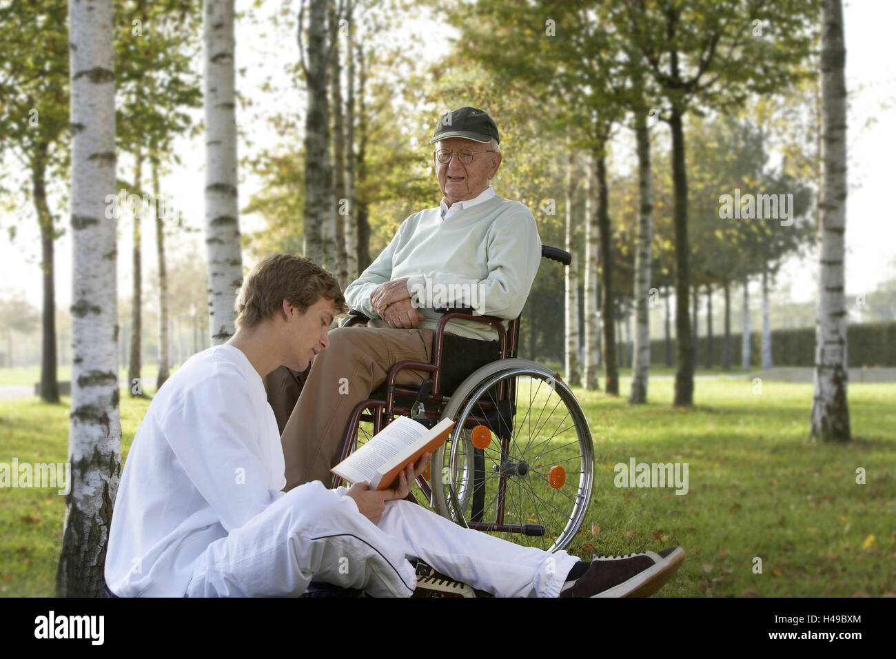Park, boss, invalid's wheel chair, geriatric nurse, meadow, sit, read, autumn, Stock Photo