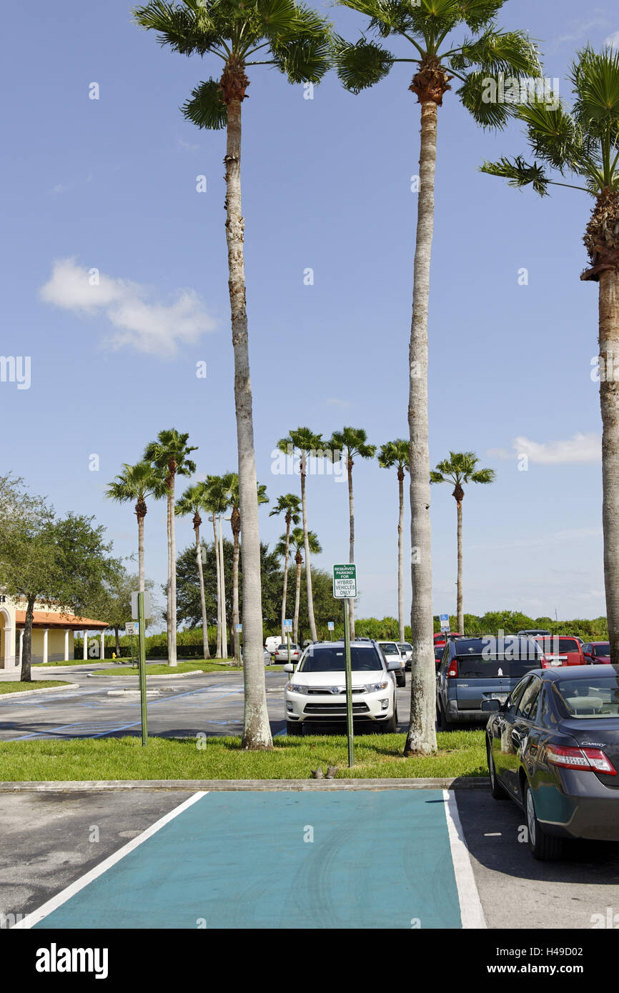 green marked parking lot for hybrid vehicles only, Key Largo, Florida Keys, Florida, USA, Stock Photo