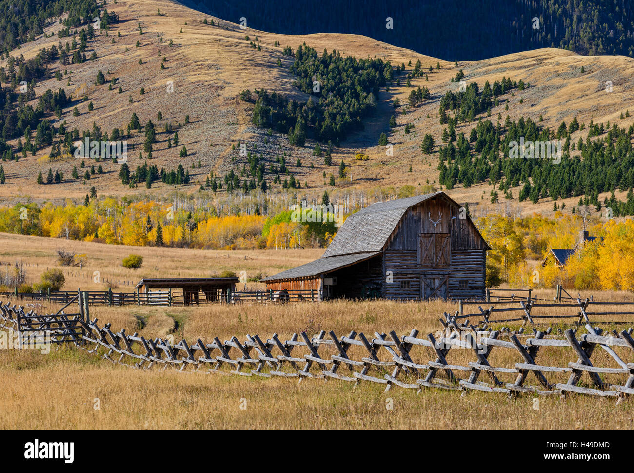 Park County, MT: Wood fence line and barn in fall. Stock Photo