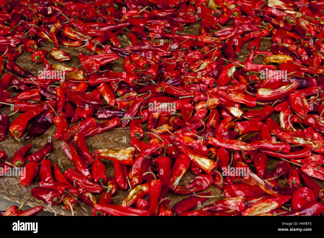 Kingdom Bhutan, red chilli pods Stock Photo - Alamy