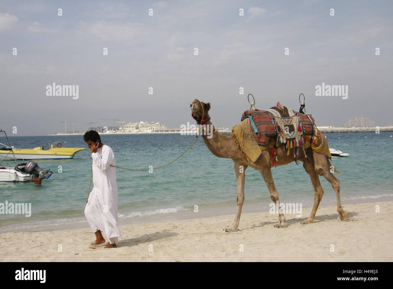 United Arab Emirates, Dubai, Jumeriah Beach, camel guide, mobile phone, call up, town, man, local, Arab, sandy beach, beach, Sand, sea, shore, boots, animal, camel, benefit animal, tourism, cord, telephone call, mobility, flexibility, phone, outside, whole body, Stock Photo