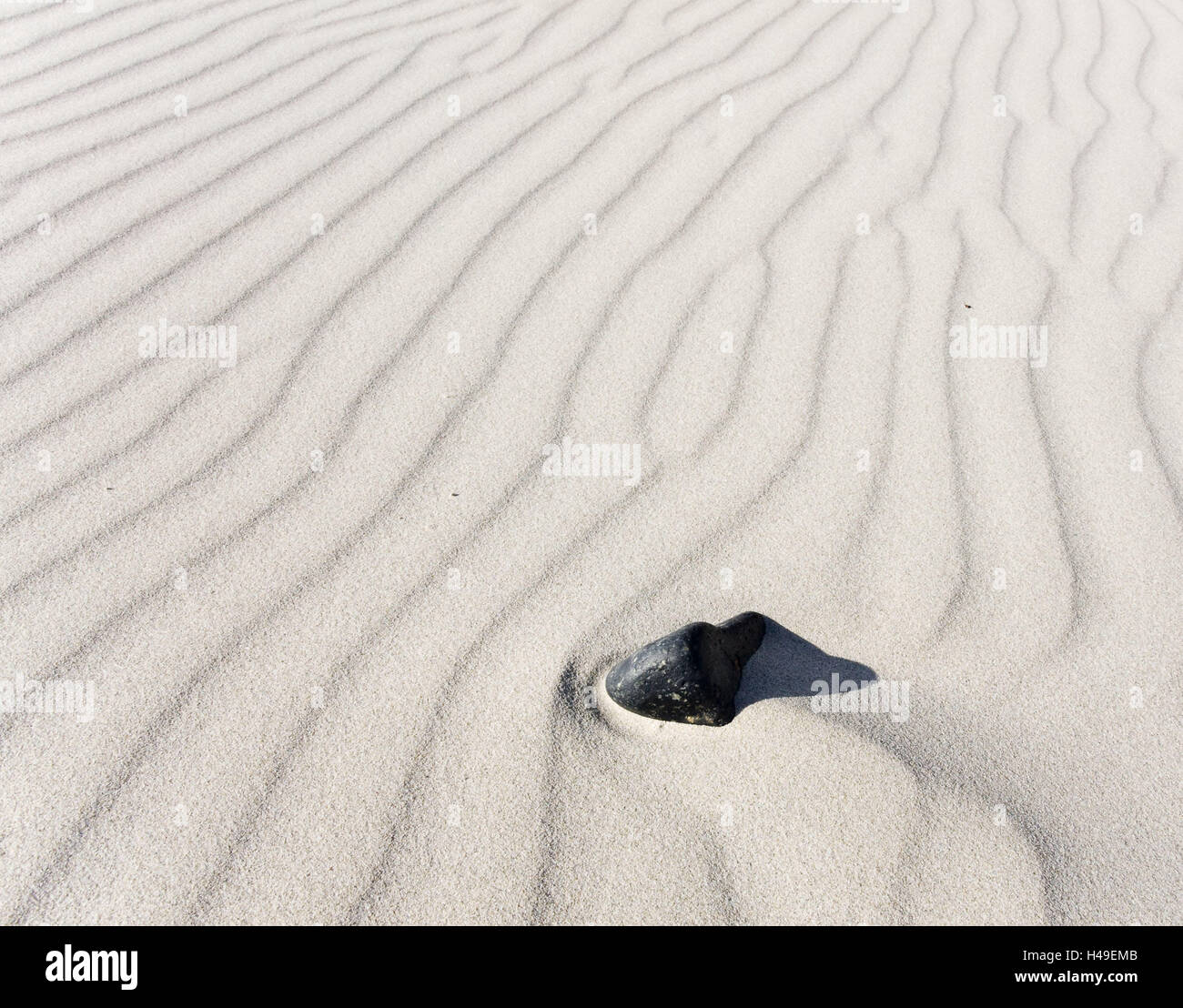 Sand, white, wavy lines, stone, black, beach, sandy beach, desert, sand desert, sand dune, dune, ripple marks, wave pattern, patterns, lines, flow, wind flow, wave furrows, structure, wind, sticking out, interruption, malfunction, Still Life, foreign bodi Stock Photo