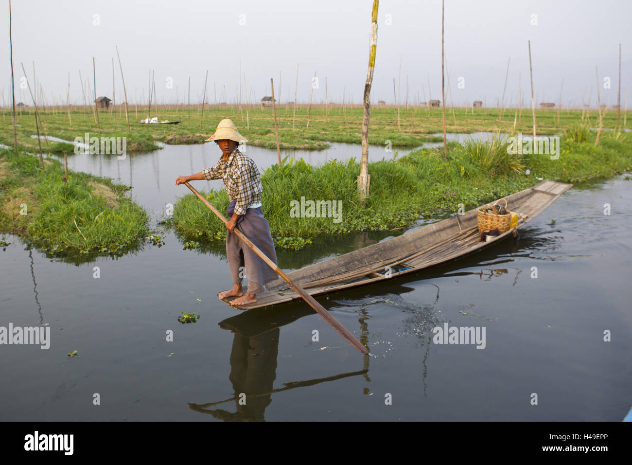 Myanmar, Shan state, region Inle lake, Samkar region, swimming gardens, water hyacinths, man, boot, Stock Photo