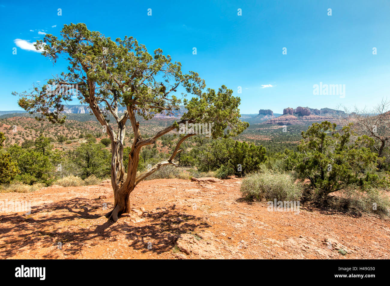 Sedona Valley, Arizona Stock Photo Alamy