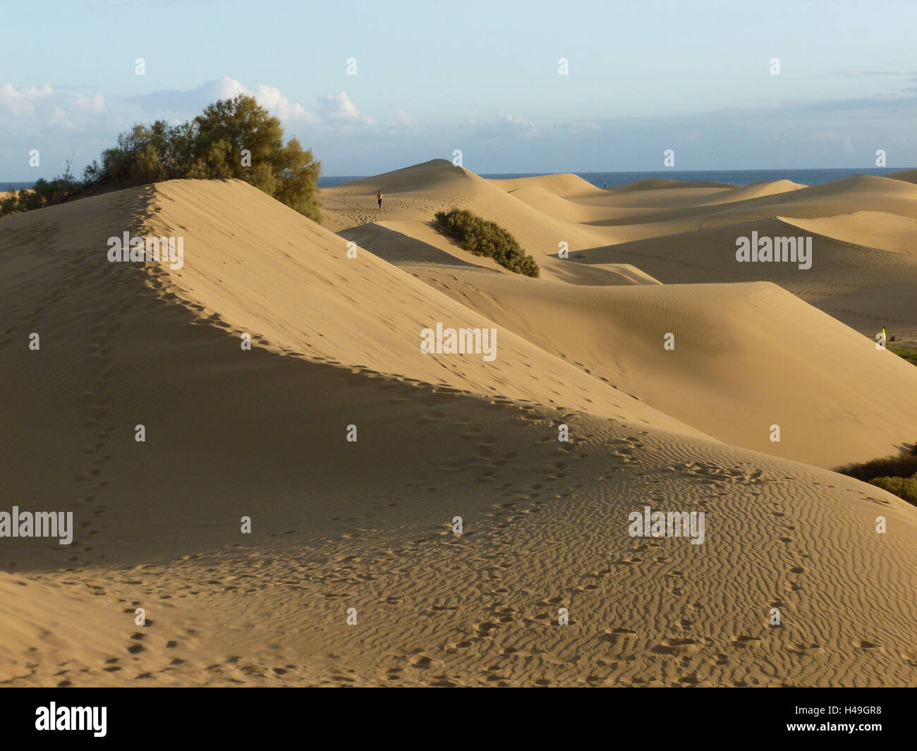 Grain Canaria, Maspalomas, Sand dunes, shrubs, wanderers, the Atlantic, Stock Photo