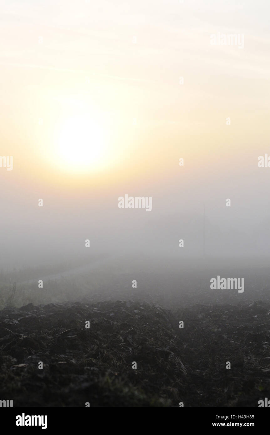 Fog field scenery hi-res stock photography and images - Alamy