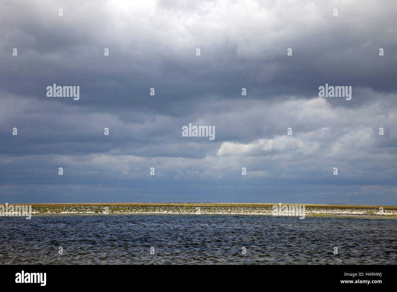 Sand bank, sea, Vogel's dream, birds of passage, Stock Photo