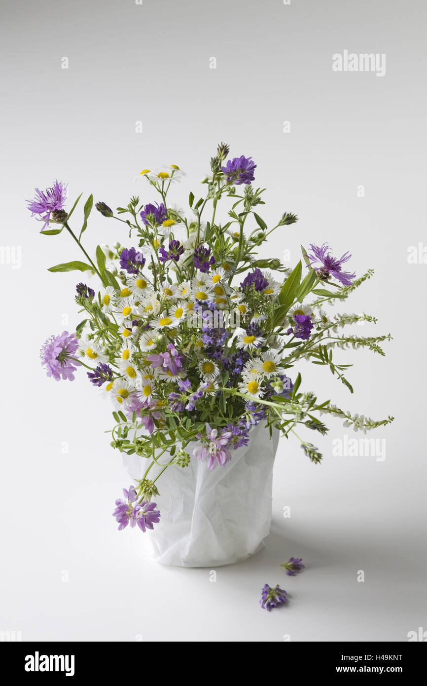 Wild flower bouquet, white-purple, Stock Photo