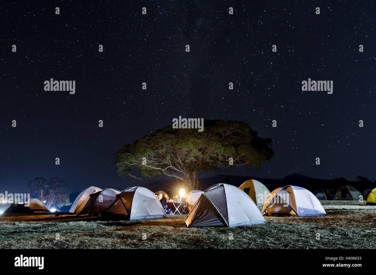 Africa, Tanzania, East Africa, crater, volcano crater, Ngorongoro, tent camp, camp site, Stock Photo