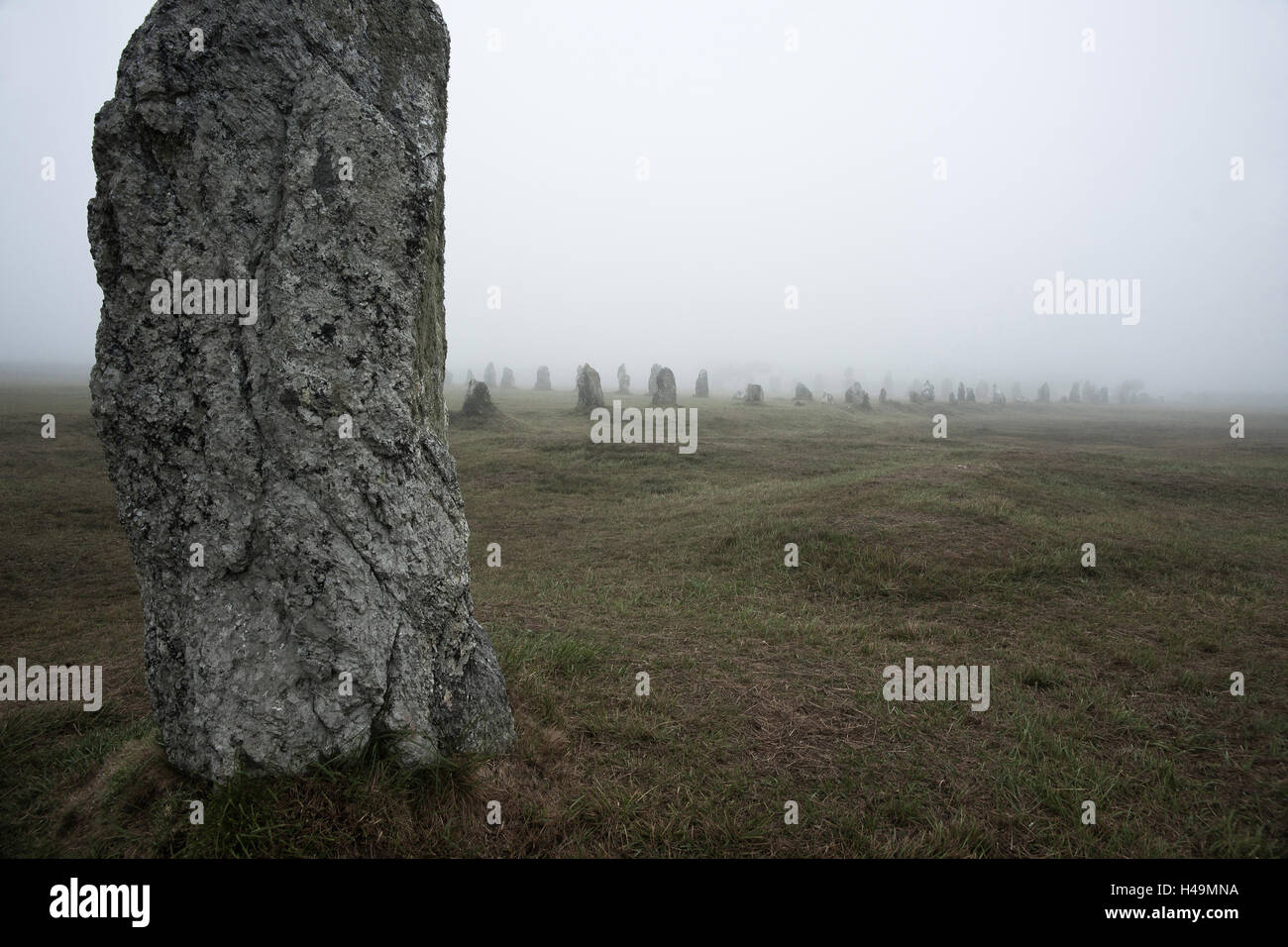 Alignement of Lagatjar in the fog, Brittany, France, Stock Photo