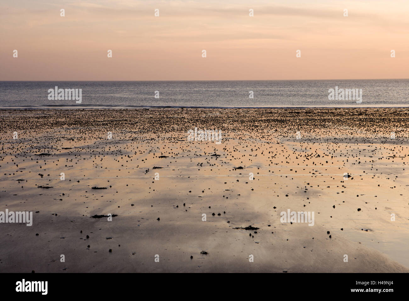 Piece Sur Piece Stock Photos Piece Sur Piece Stock Images
