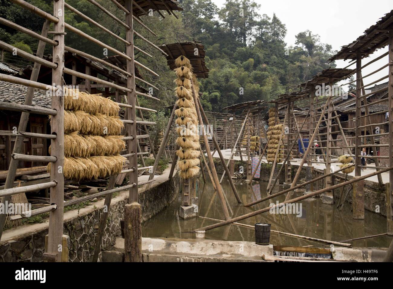 Guizhou, China. 13th Oct, 2016. Kam sweet rice aired in a village in ...