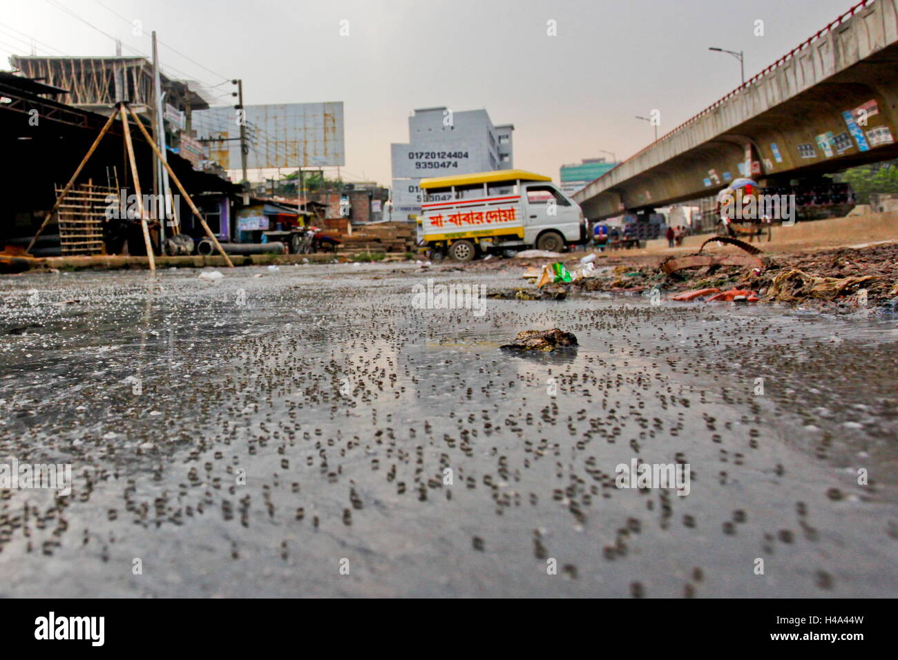 Dhaka, Bangladesh. 13th Oct, 2016. Without decent sewerage system. Dhaka is a metropolitan city without decent sewerage system, sewerage system is so poor that it always over flows and flooded the streets. This filthy water is safe house for mosquitoes and debases. © AR Sumon/ZUMA Wire/ZUMAPRESS.com/Alamy Live News Stock Photo