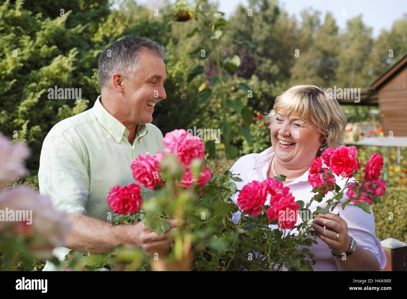 Man and woman in rose garden Stock Photo - Alamy