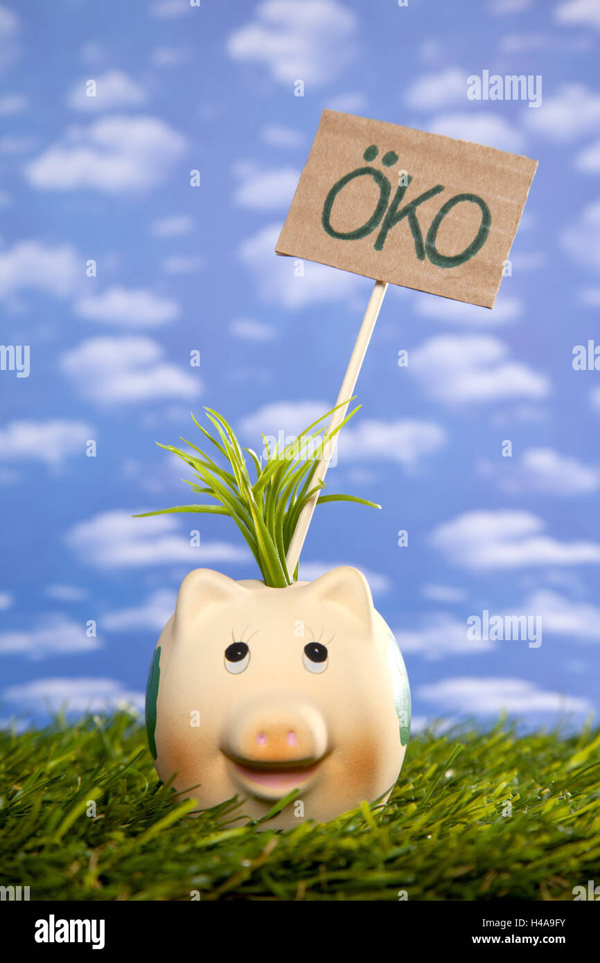 Symbolical picture, saving, money, piggy bank, ecofriendly, eco, Stock Photo