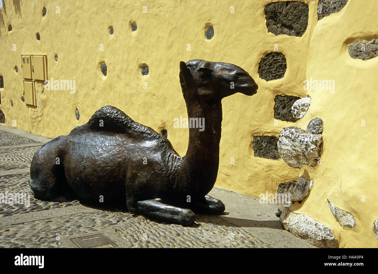 Spain, Canary islands, grain Canaria, Agüimes, lane, house, animal