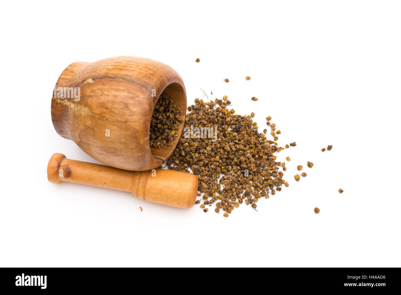 top view wooden mortar and pestle with flos chrysanthemi indic on white background Stock Photo