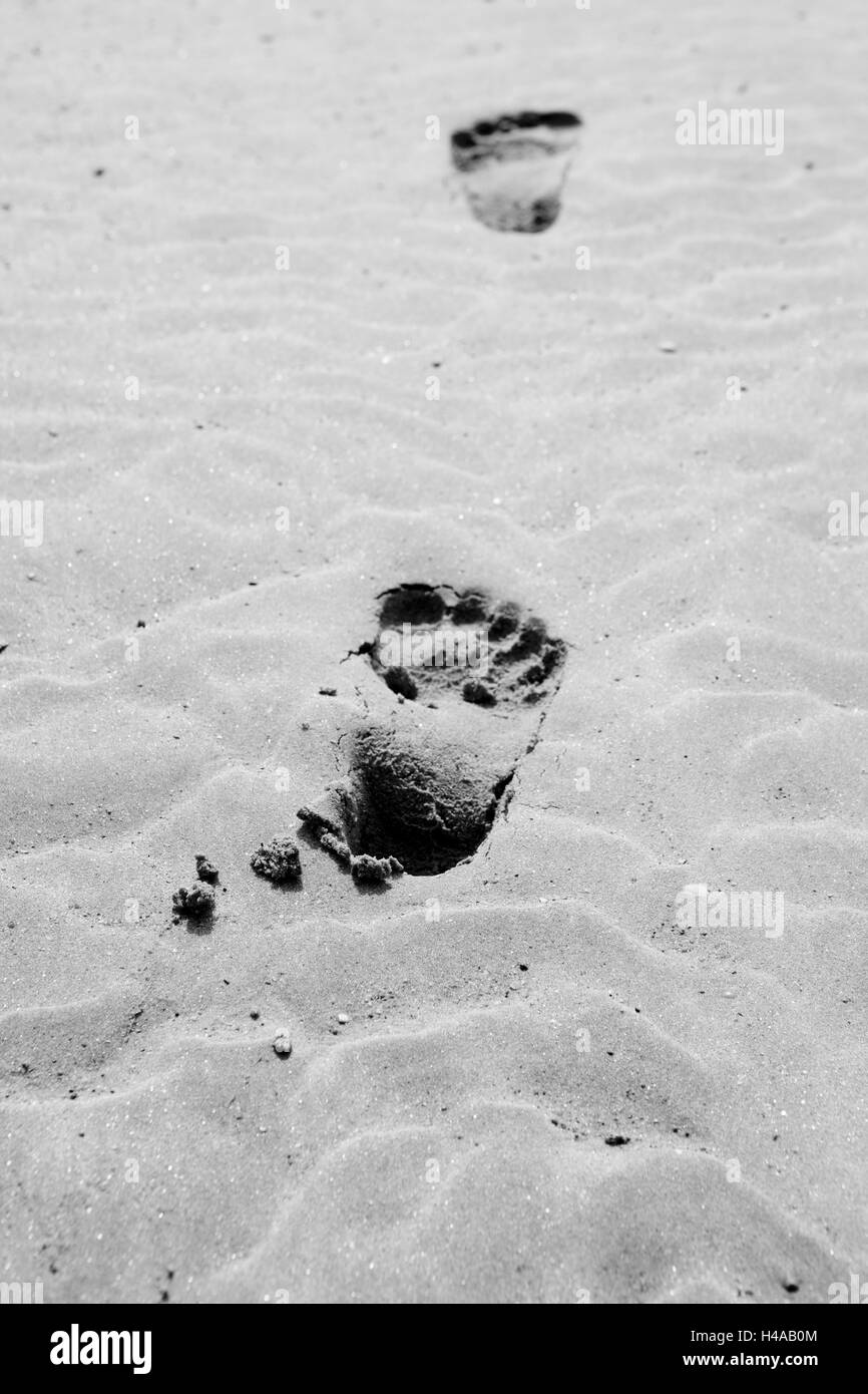 Footprints in sand Stock Photo Alamy