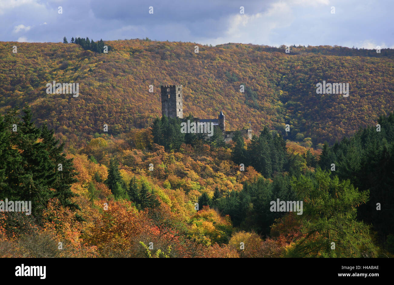The sour castle with Sauerthal in the autumnally coloured nature reserve Rhine Taunus, Stock Photo
