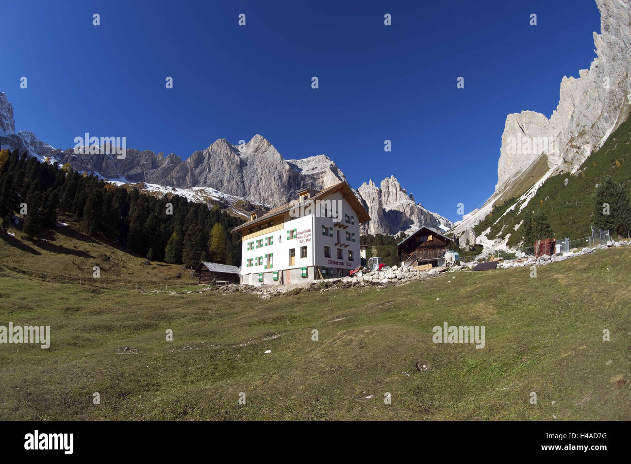 Italy, South Tyrol, the Dolomites, rose garden, Val del Vajolet, Rifugio Stella Alpina, Stock Photo