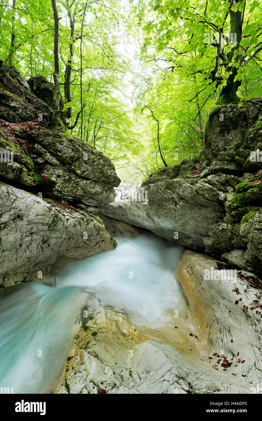 Slovenia, Triglav, National Park, waterfall, Stock Photo