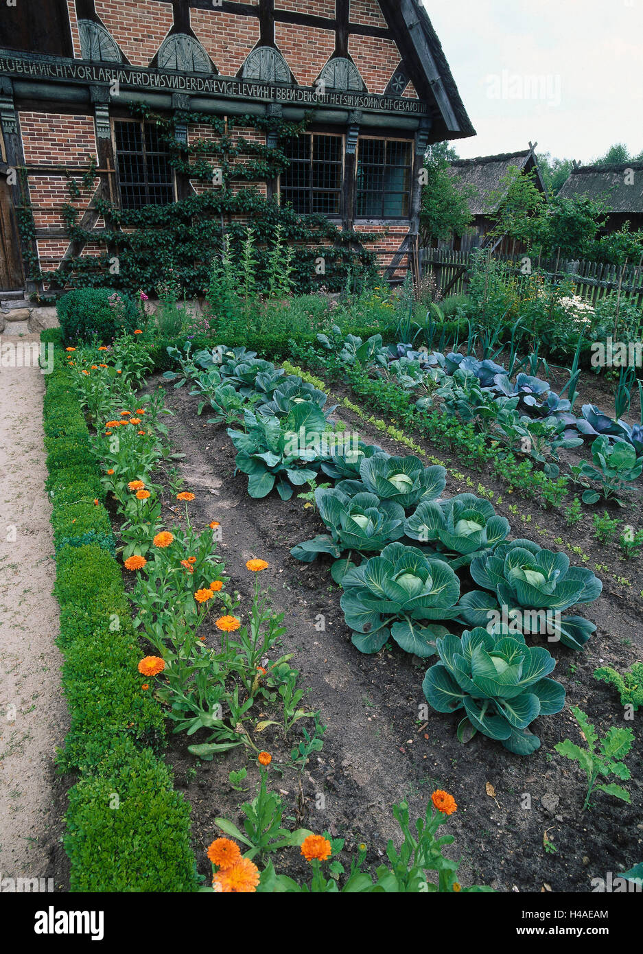 Garden, flowers, vegetables, Stock Photo