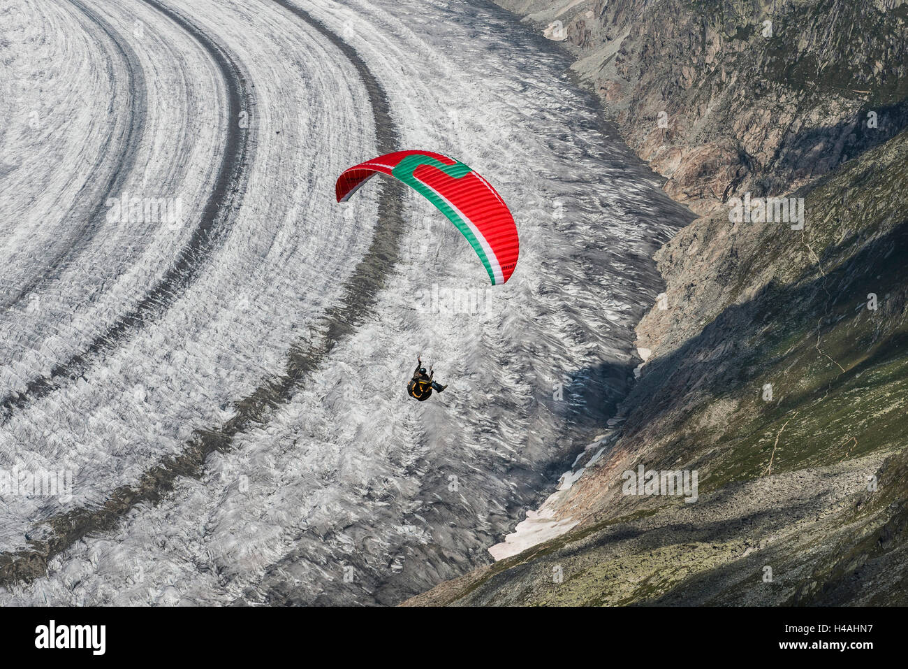 Paraglider above Aletsch glacier, paraglider, aerial picture, Eggishorn, Fiesch, Valais, Switzerland Stock Photo