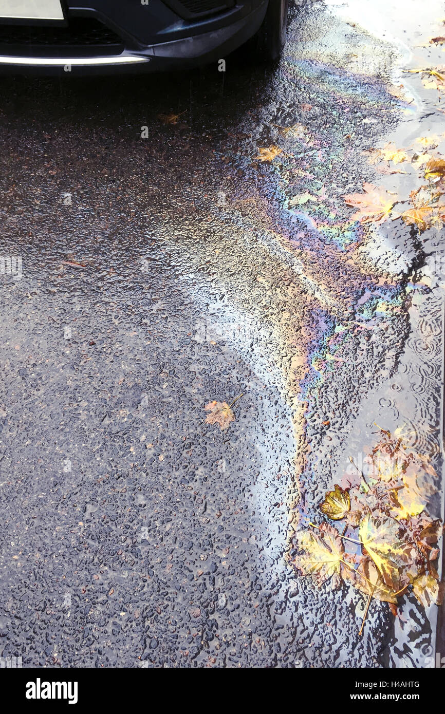 iridescent spots of gasoline on wet asphalt with colorful autumn leaves Stock Photo