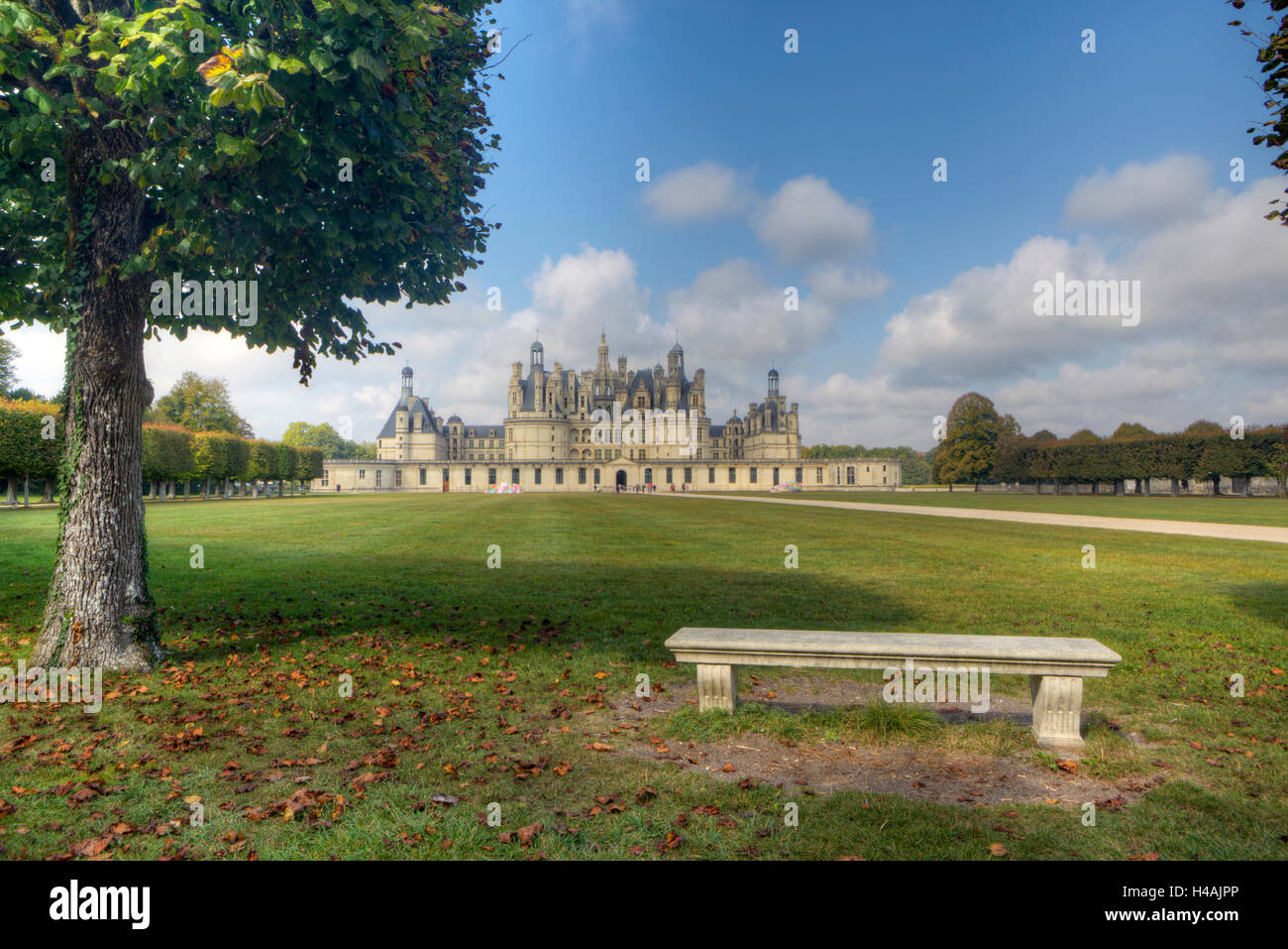 Château de Chambord, castle grounds, Loire, France, Europe Stock Photo