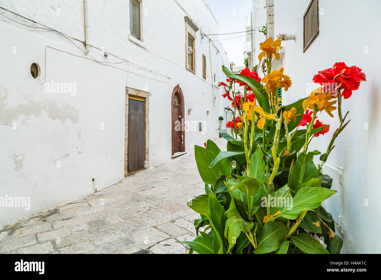 typical street of whitewashed houses of Locorotondo, a town of Apulia in Italy Stock Photo