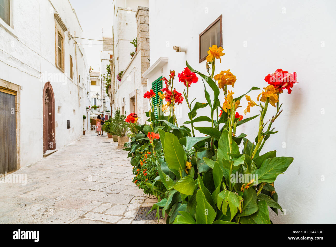 typical street of whitewashed houses of Locorotondo, a town of Apulia in Italy Stock Photo