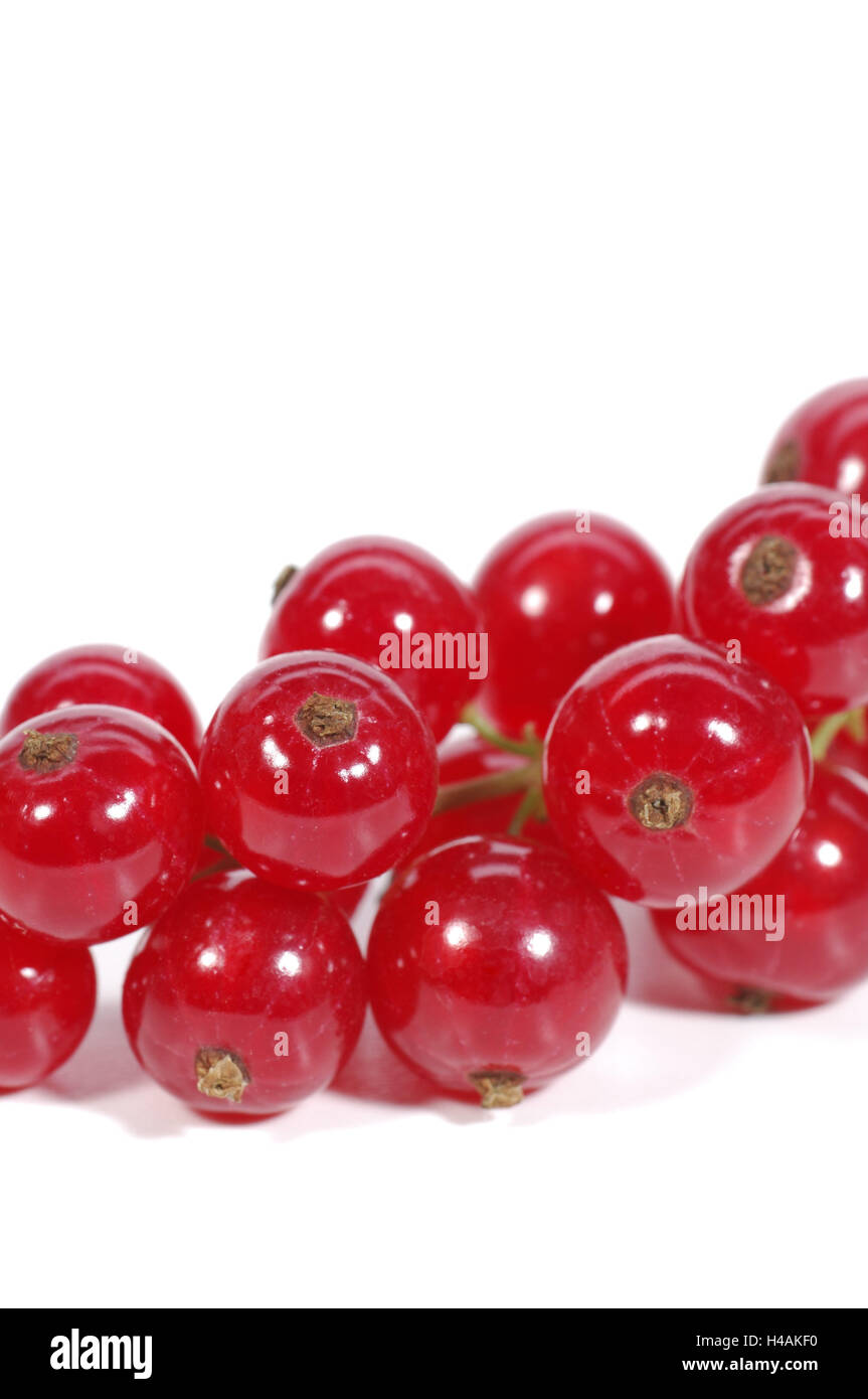 Currants, red, ripe, Stock Photo
