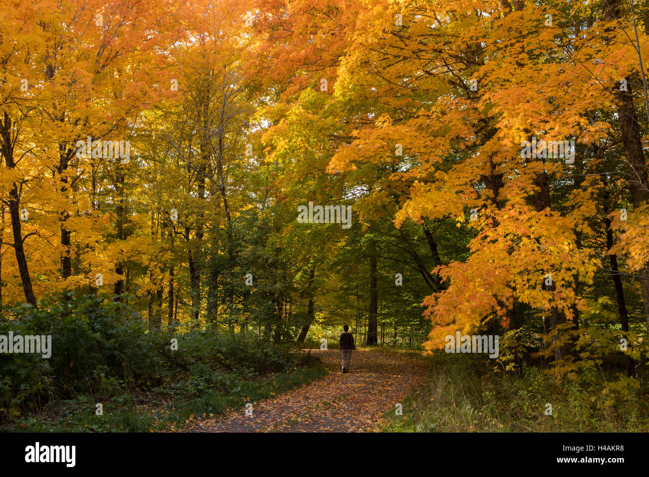 Fall colors near Newport, Nova Scotia, Canada. Stock Photo