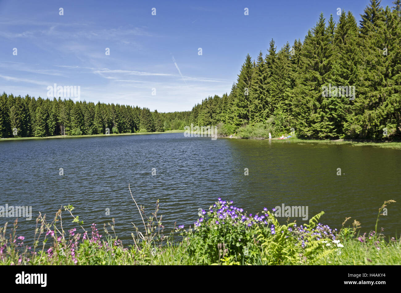 Germany, Lower Saxony, resin, colours vaulting horse, upper Nassenwieser pond, Stock Photo