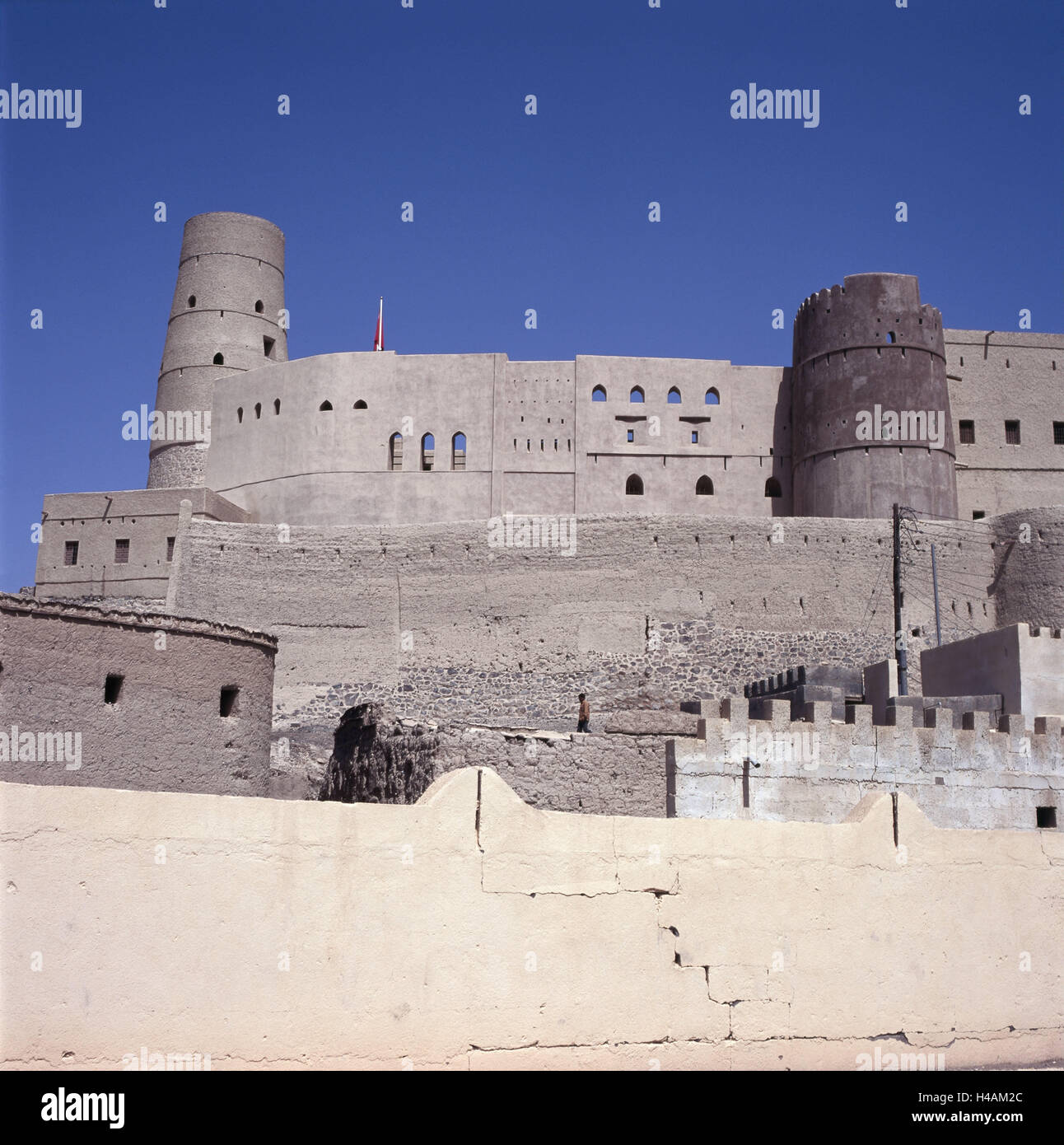 My Image 8
