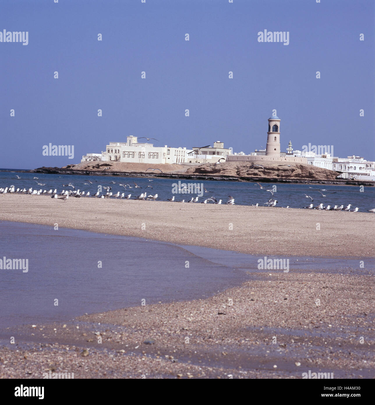 Oman, Sur, beach, gulls, lighthouse, heaven, blue, birds, Laridae, beacons, buildings, orientation, sea, waters, Stock Photo