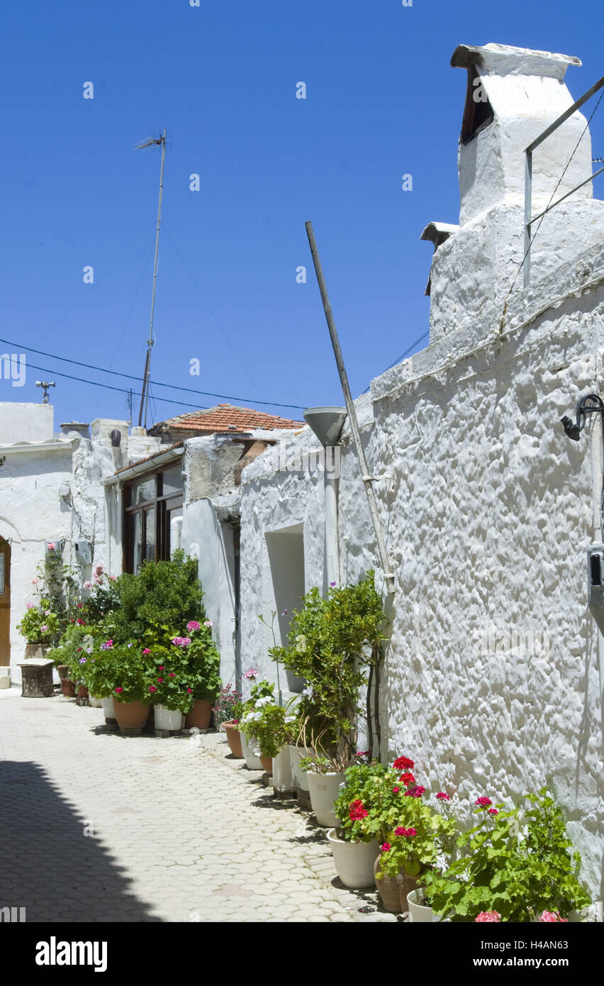 Greece, Crete, Myrtia, of a nice village lane, Stock Photo