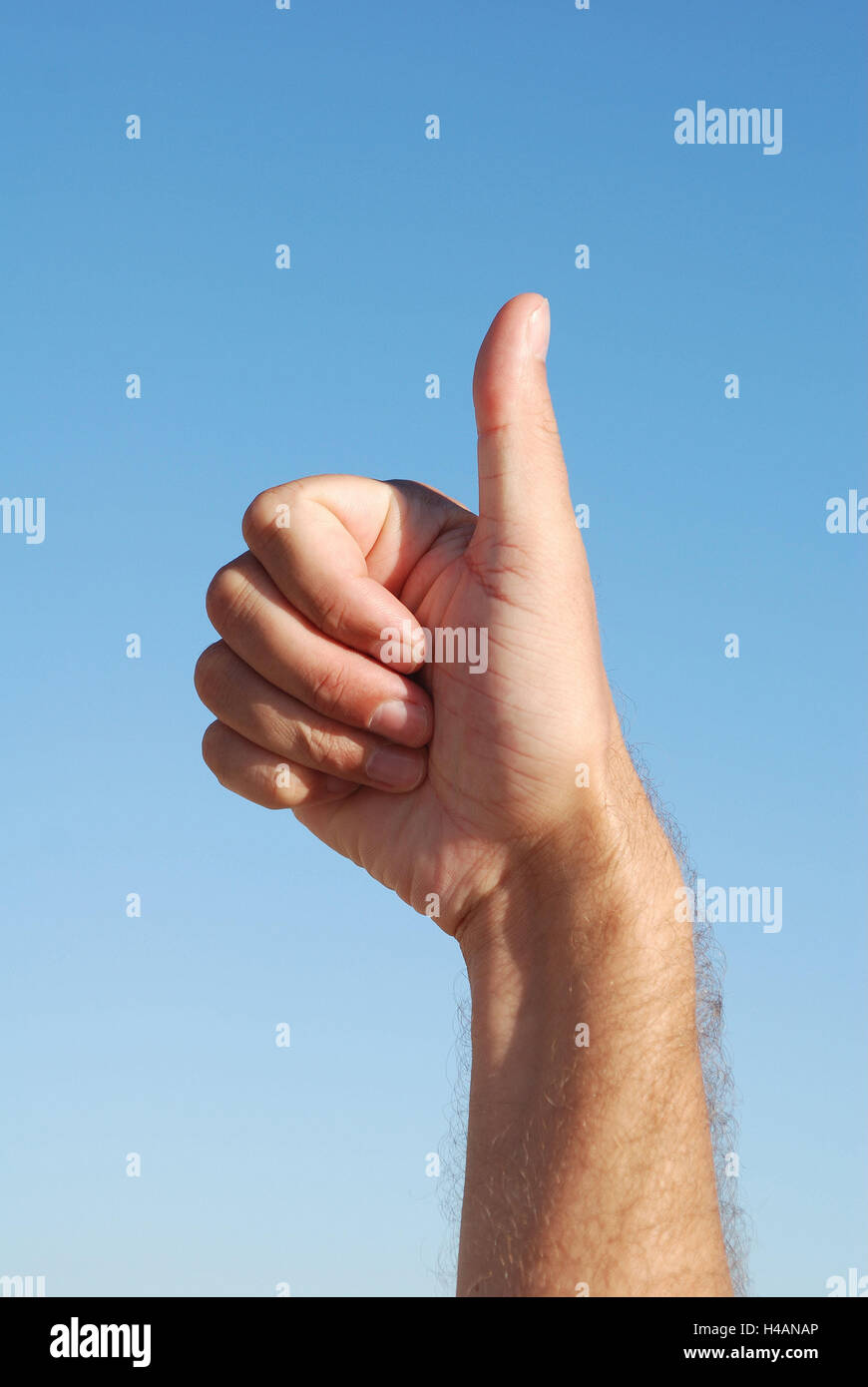 Man, hand, pollex, hold up, man's hand, manly, finger, figure, okay, OK., well, positively, attention, printout, body language, hand figure, super, excellently, outside, parts the body, medium close-up, detail, Stock Photo
