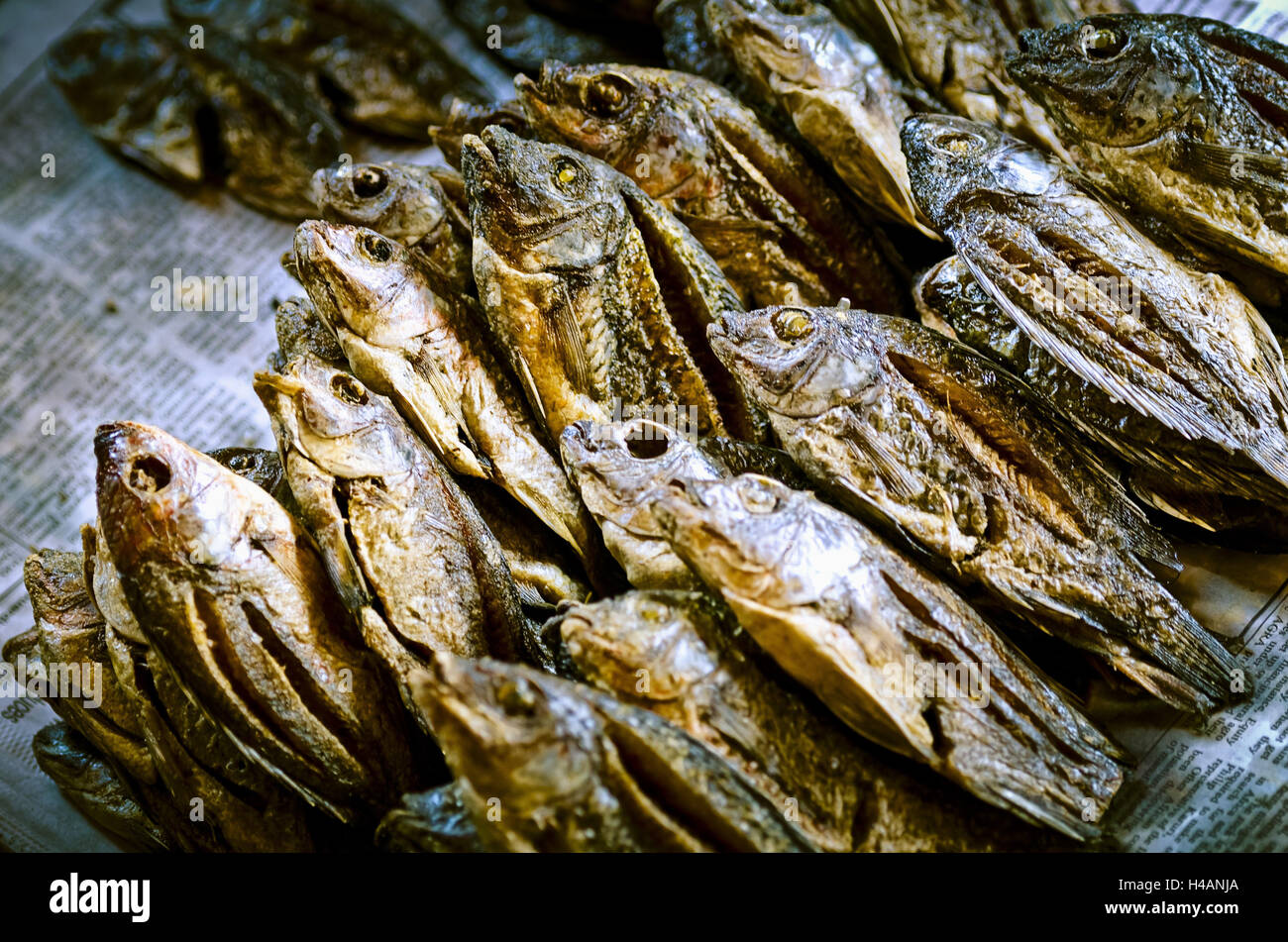 Africa, Tanzania, East Africa, Moshi, market, fish, dried fish, Stock Photo