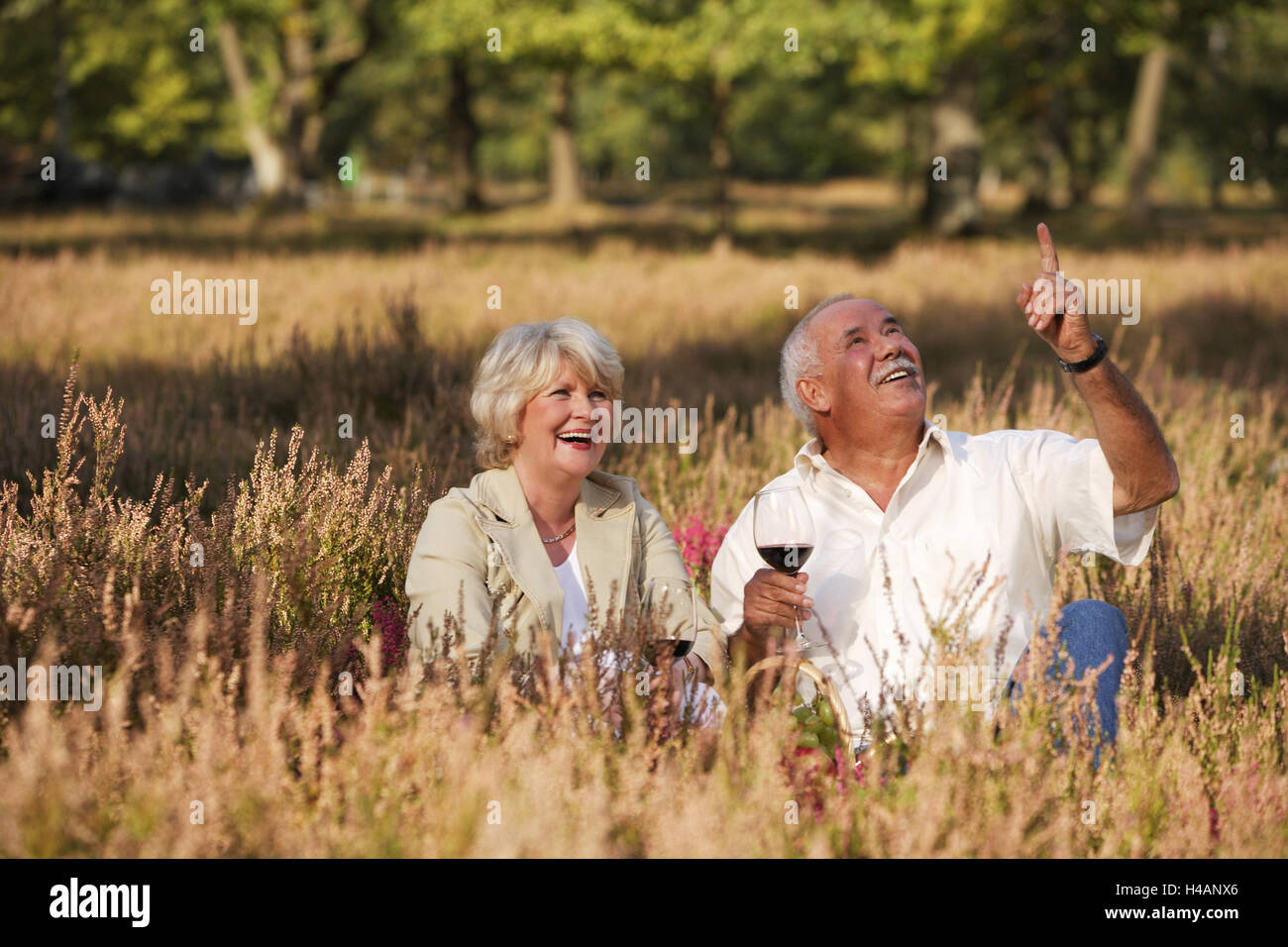 Senior citizen's couple, picnic in the moor, view upwards, Stock Photo