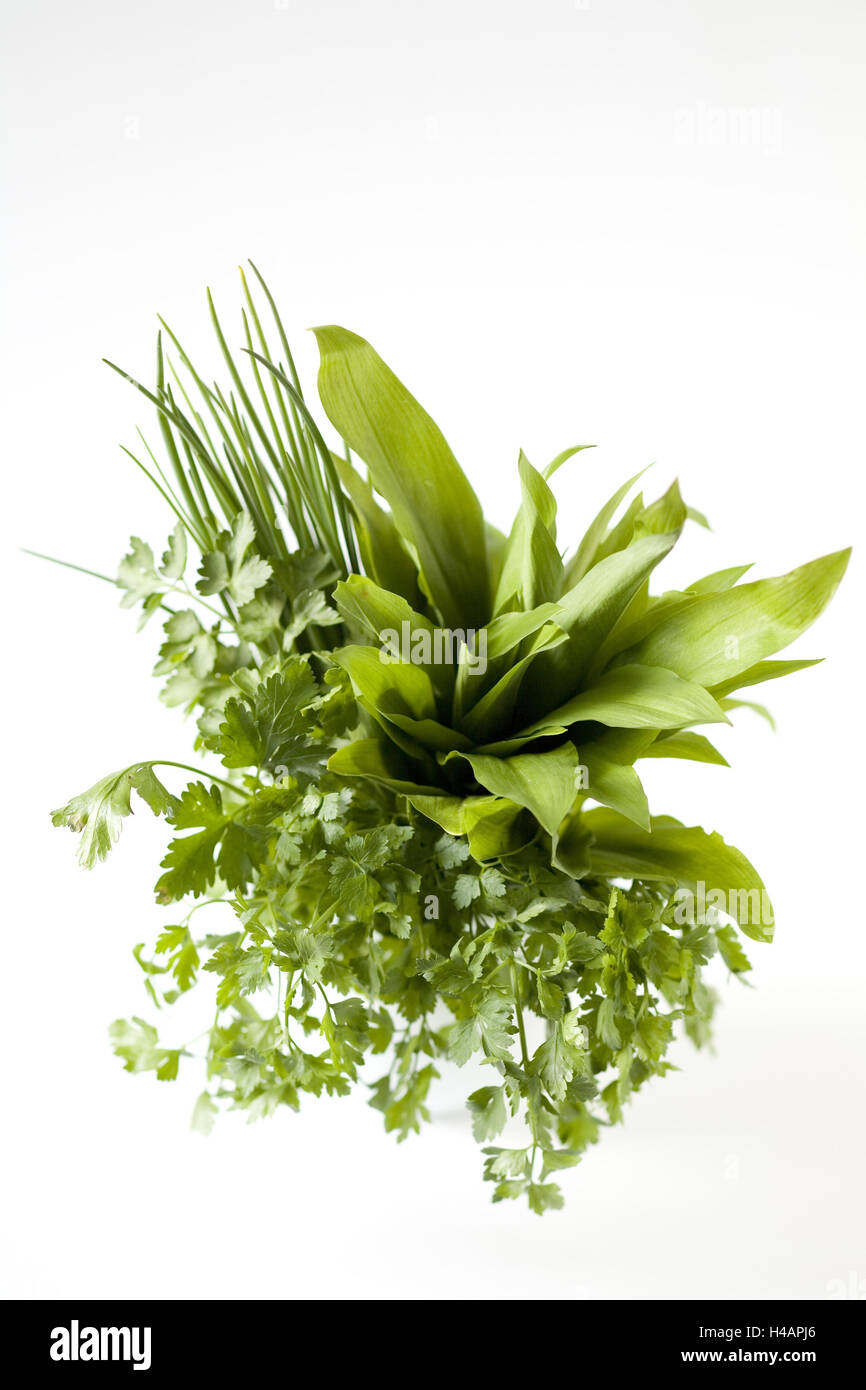 A bunch of herbs, Stock Photo