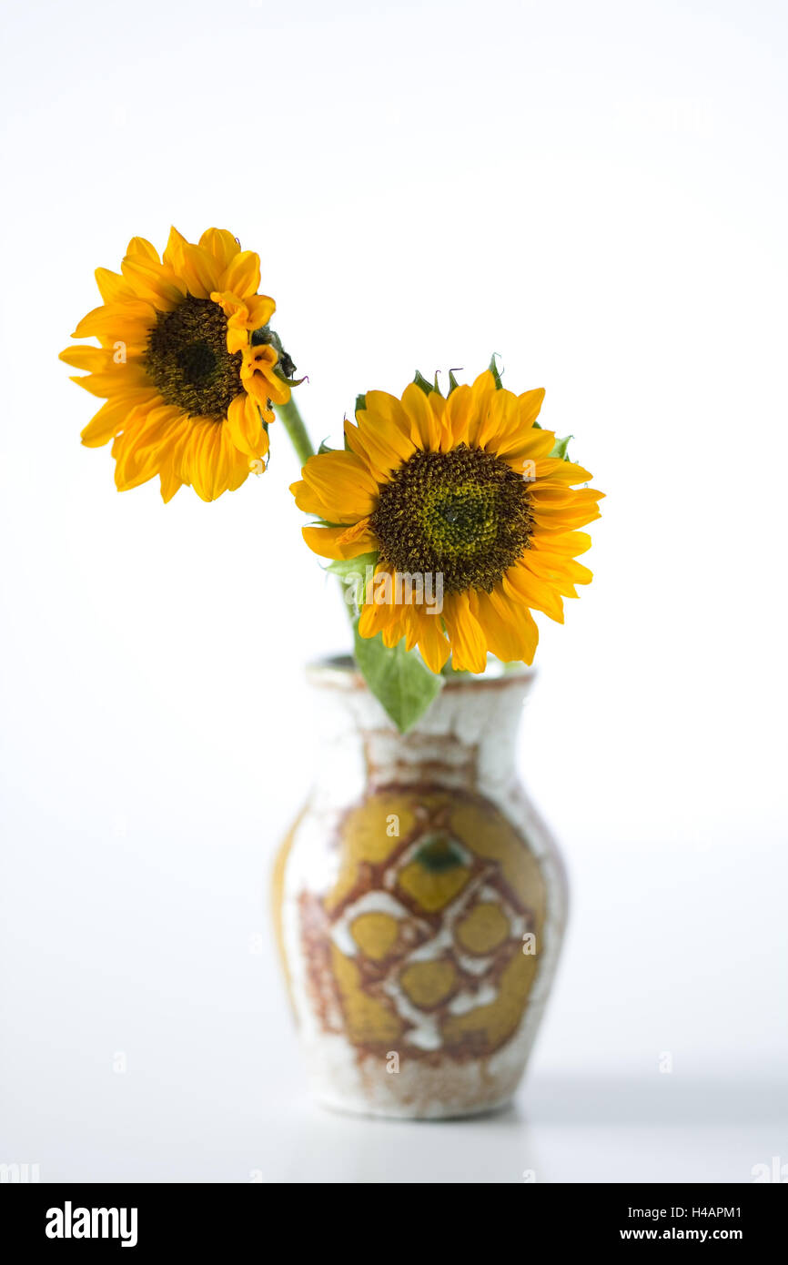 Sunflowers in vase Stock Photo Alamy
