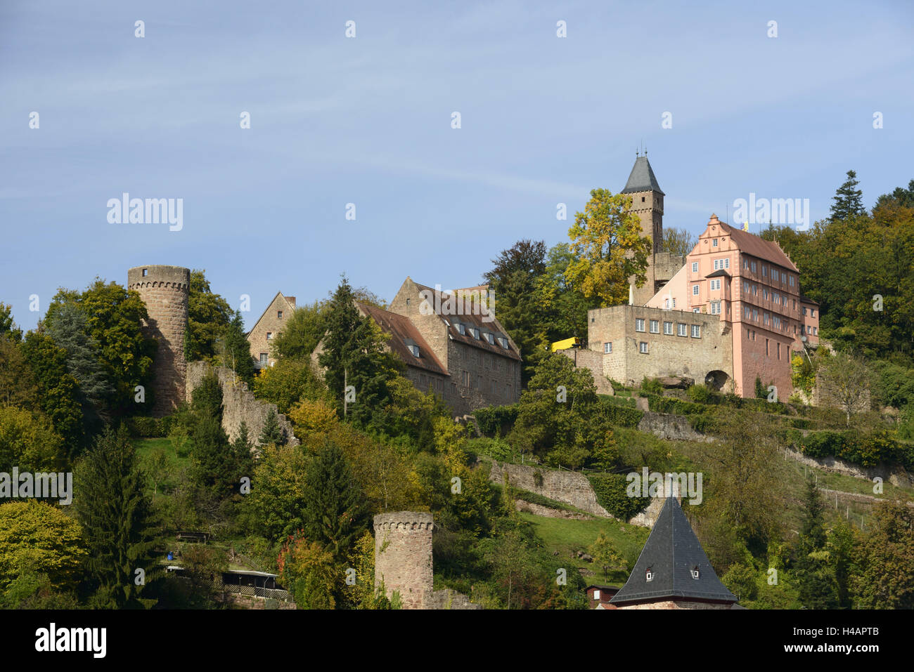 Hirschhorn on the Neckar, castle mountain, Hirschhorn castle, Hessen, Germany, Stock Photo