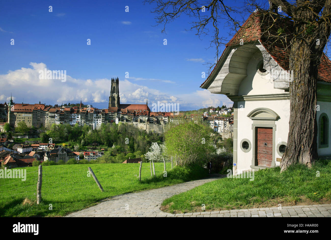 Switzerland, Fribourg on the Sarine River, chapel on the meadows of the 'Convent de Montorge', view from the Old Town of Fribourg with the Cathedral of Saint Nicholas, Stock Photo