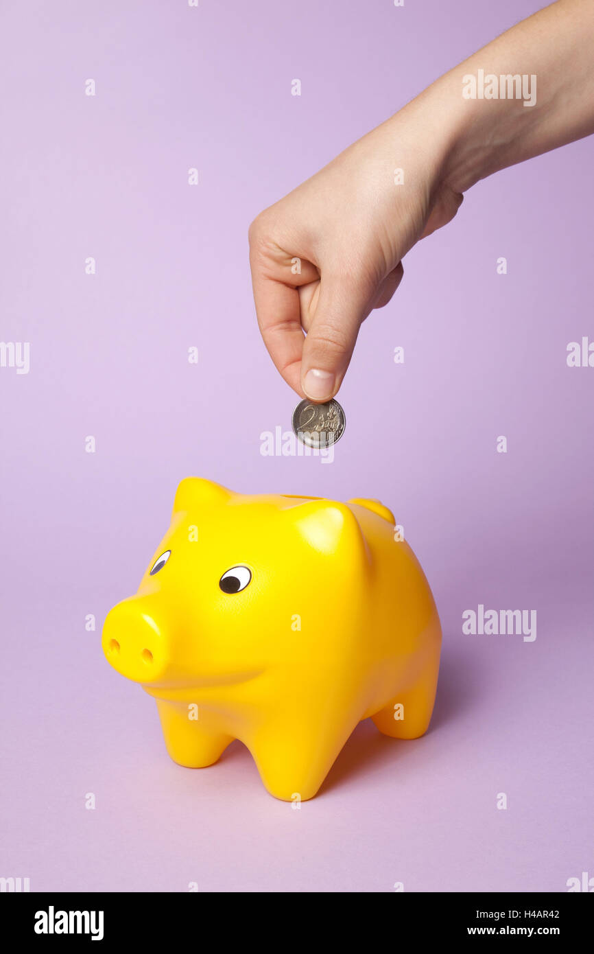 Save Money Piggy Bank Hand Stock Photo 123168866 Alamy - 